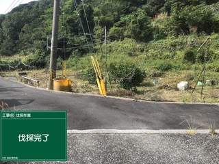 20181022_013456875_iOS.jpg