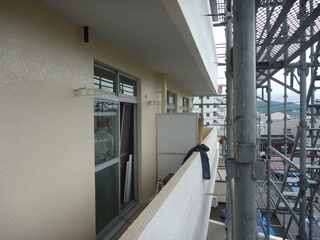 P1010324.JPG