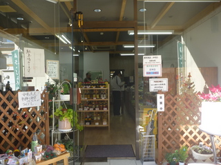 P1010533.JPG