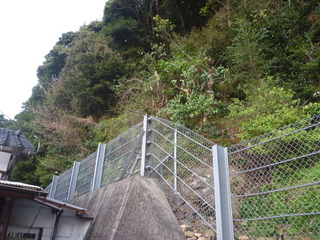 P1010627.JPG