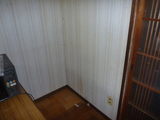 P1010655.JPG