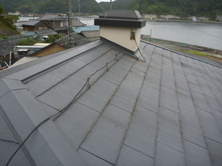 P1020070.JPG