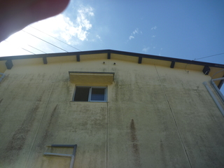 P1020452.JPG